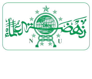Logo PWNU Pengurus Wilayah Provinsi Papua Selatan
